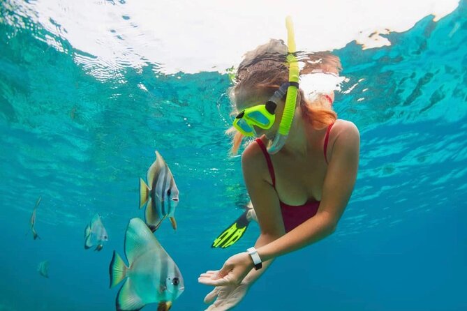 Blue Lagoon Snorkeling and Lunch with Tukad Cepung Waterfall - Key points at a glance