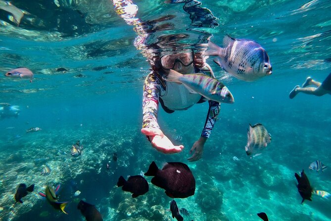 Blue Lagoon Snorkeling and Lunch with Tukad Cepung Waterfall - Is $56 a fair price?