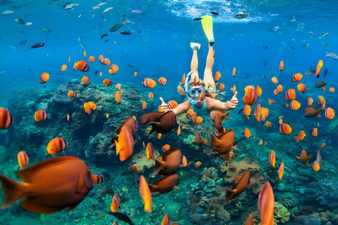 Blue Lagoon Snorkeling and Uluwatu Sunset Tour - How much driving should you expect?