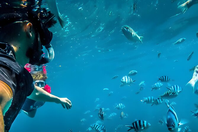 Blue Lagoon Snorkeling - Bali Best Snorkeling Site - Key points to know before you book