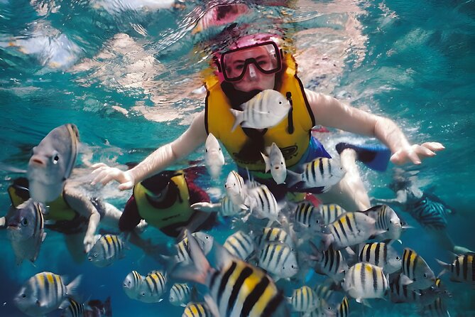 Blue Lagoon Snorkeling - Bali Best Snorkeling Site - What you may see beneath the surface