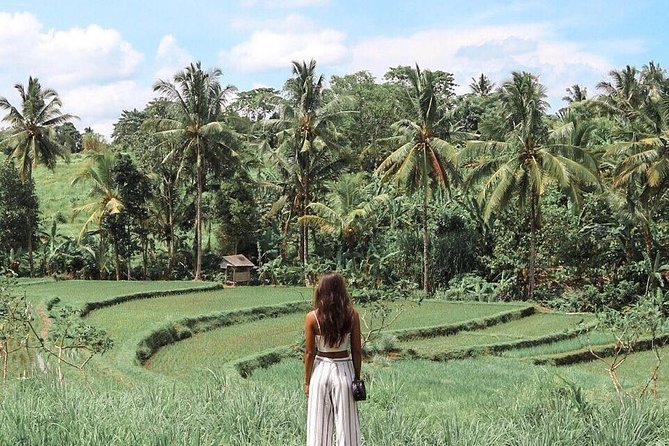 Blue Lagoon Snorkeling - Jungle Swing - Ubud - All Inclusive - The extra stops depend on where you sleep