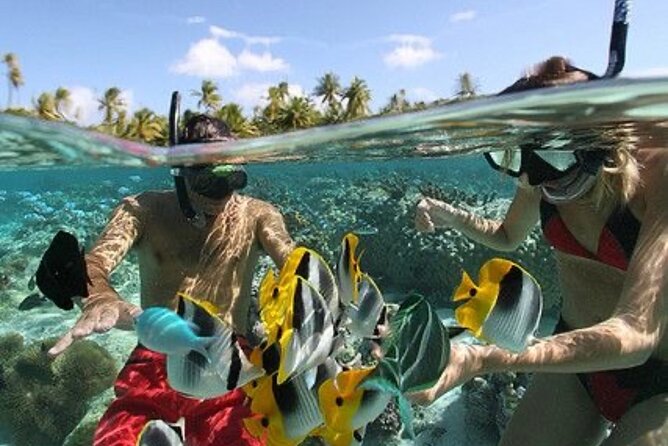 Blue Lagoon Snorkeling - Lunch - Kantolampo - Tibumana Waterfall - Lunch gives you a useful reset