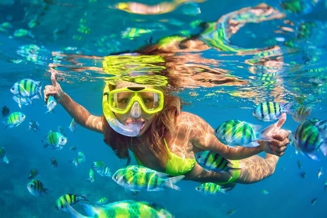 Blue Lagoon Snorkeling - Lunch - Kantolampo - Tibumana Waterfall - What to expect during the Blue Lagoon snorkeling session