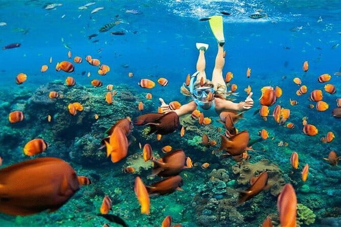 Blue Lagoon Snorkeling with Lunch and Private Transport - Blue Lagoon and its colorful reef life