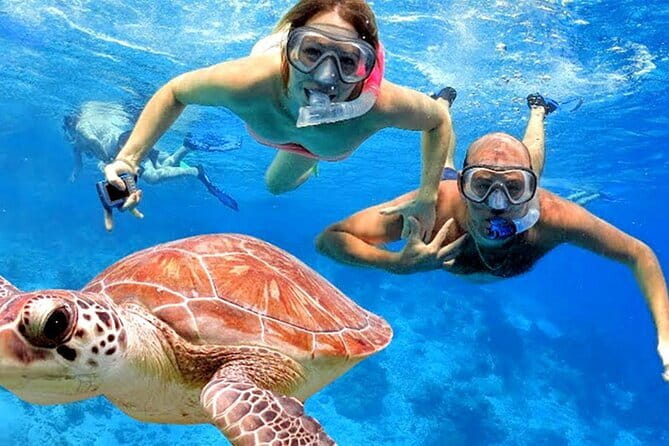 Blue Lagoon Snorkeling with Lunch and Private Transport - Leaving Seminyak by private transport