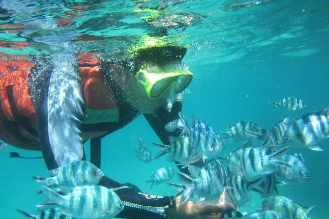 Blue Lagoon Snorkeling with Lunch and Waterfall in Ubud - Tegenungan Waterfall for a change of pace