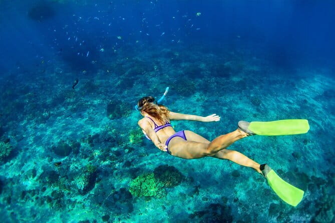 Blue Lagoon Snorkeling with Lunch and Waterfall in Ubud - Is $50 good value from Seminyak?