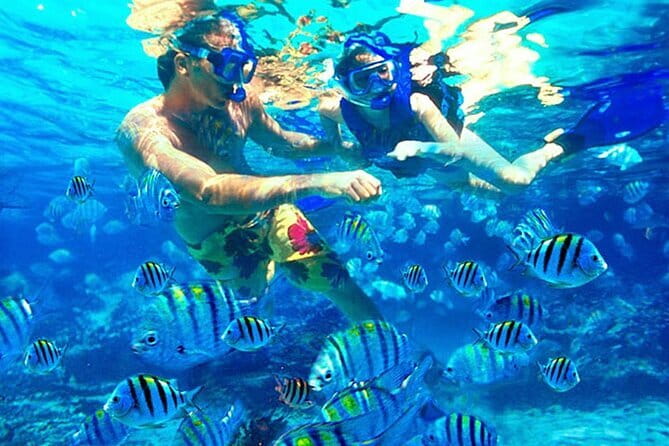 Blue Lagoon Snorkeling with Lunch and Waterfall in Ubud - Lunch and the practical middle of the day
