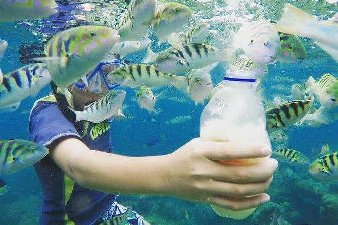 Blue Lagoon & Tanjung Jepun Snorkeling Private Tour - Lunch, showers, and the return to Ubud