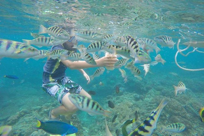 Blue Lagoon & Tanjung Jepun Snorkeling Private Tour - What the $50 price really covers