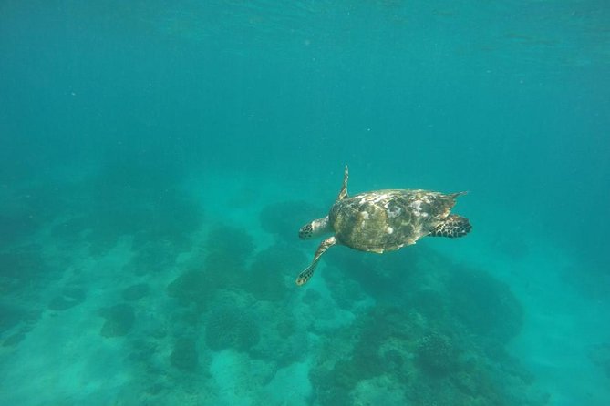 Blue Lagoon & Tanjung Jepun Snorkeling Private Tour - Booking and cancellation details worth knowing
