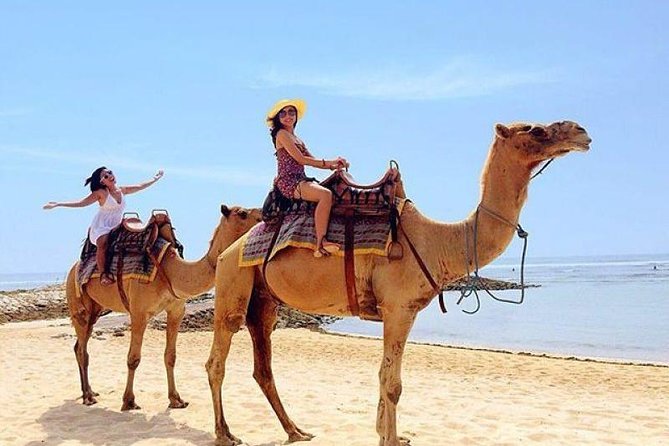 Camel Safari 30 minutes In White Sand Beach - Arriving at Sawangan Beach from south Bali