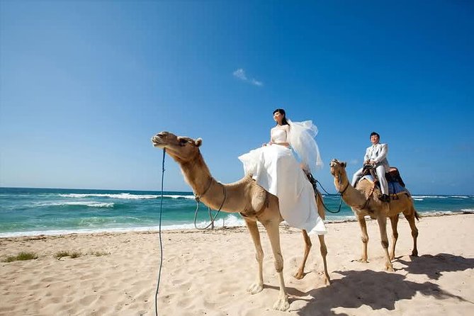 Camel Safari 30 minutes In White Sand Beach - Weight rules you need to understand