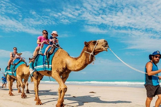 Camel Safari 30 minutes In White Sand Beach - Timing, weather, and planning details
