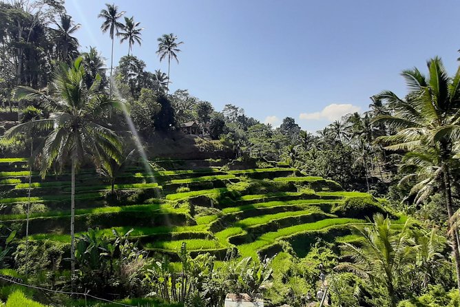 Candidasa Private Car with English Speaking Driver - Tegenungan Waterfall: a strong opening stop
