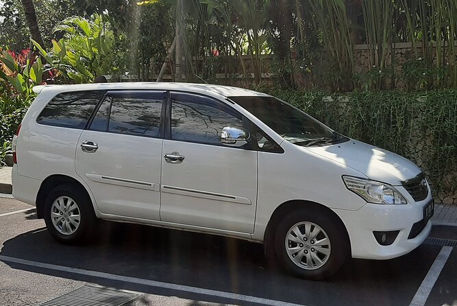 Candidasa Private Car with English Speaking Driver - Sacred Monkey Forest: wildlife with a boundary