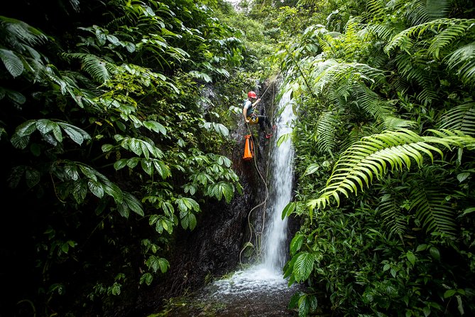 Canyoning Bali, Tamata Canyon (Adventure, discovery, nature) - Why Tamata feels different from an easy Bali outing