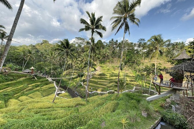 coconut wine and coffee safary tour - Who should book this experience?