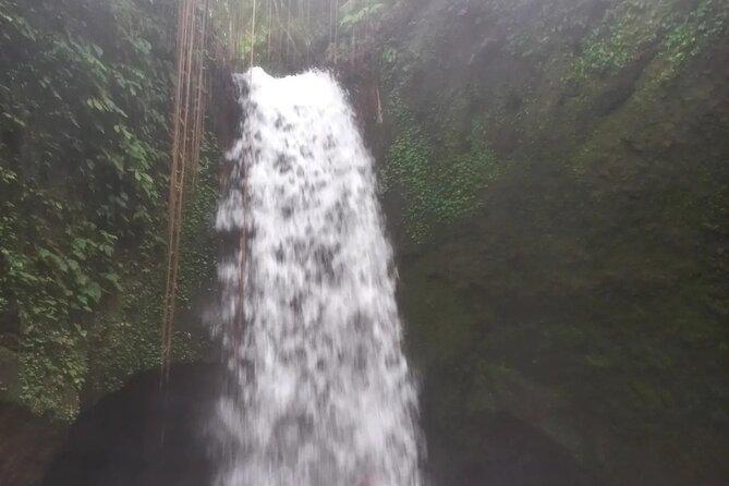 CRETYA Ubud infinity Pool + Hidden Water fall + Water Temple Tour - The private car and the human side of the day