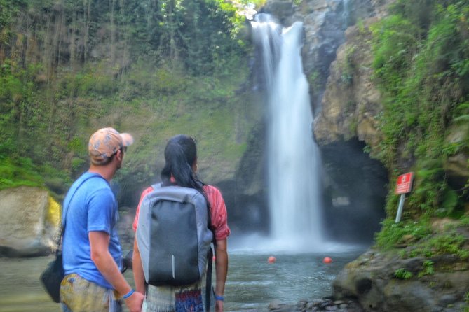 Cretya Ubud Tours - What the driver-guide adds
