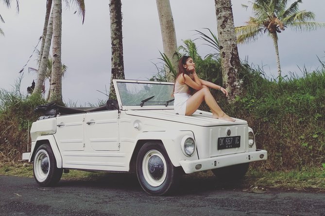 Daily VW Tour - Ubud VW Tour - Key points about the Ubud VW tour