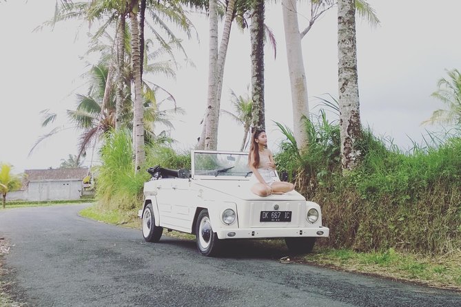 Daily VW Tour - Ubud VW Tour - Lunch, water, and the small comforts included