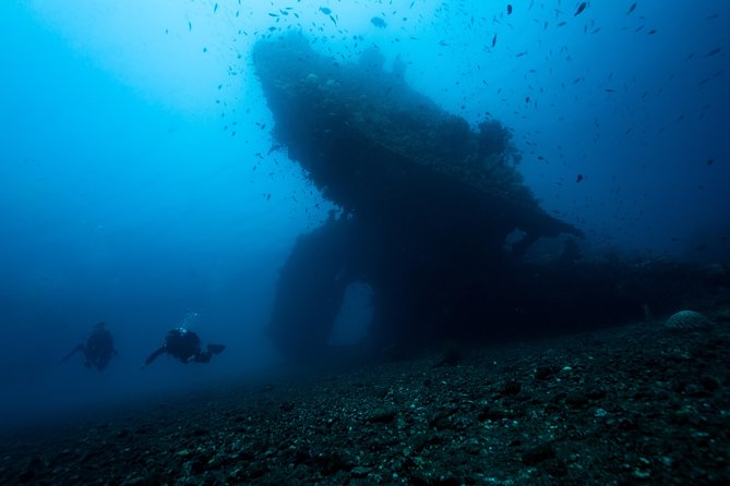 Day Trip certified divers - 3 Dives in Tulamben (pick-up & drop-off included) - Arriving at Dive Concepts Tulamben