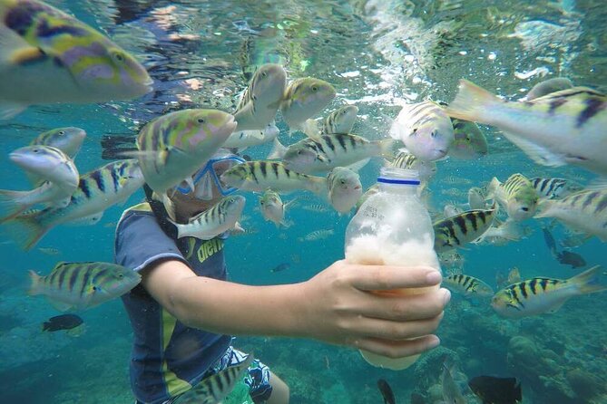 Day Trip: Nusa Penida Snorkling - Why this day trip packs in so much