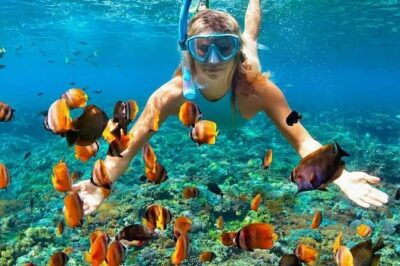 Day Trip: Nusa Penida Snorkling