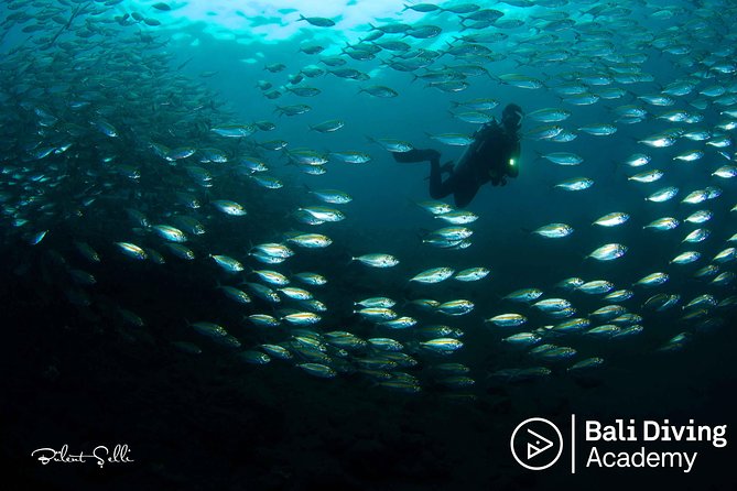 Day Trip Snorkeling in Tulamben - Explore Liberty Wreck (pick up in South Bali) - Why Tulamben is worth the long ride