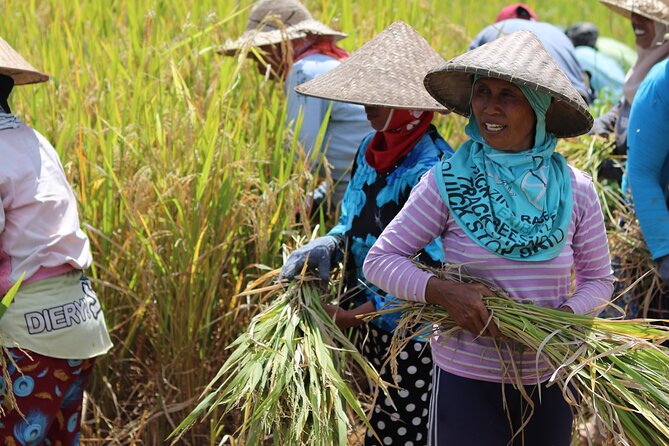Day with a Balinese Family in a Village - Key points to know before booking