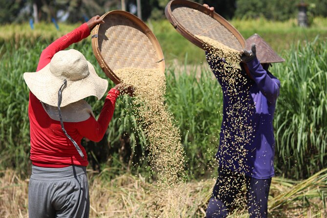 Day with a Balinese Family in a Village - The value of a $72.08 half-day outing