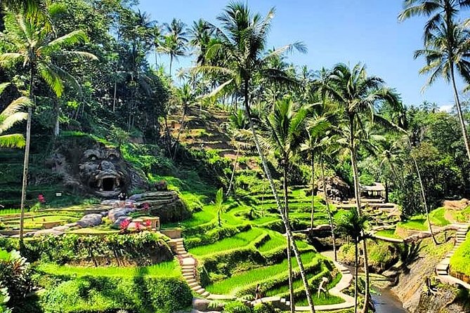 Design Your Own Bali Tour - What the Driver Adds to the Day