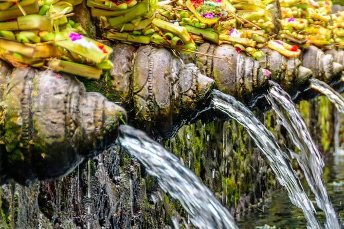 Discover Bali in 3 Days of Scenic and Cultural Delights - Day one: terraces, holy water, coffee, and jungle shrines