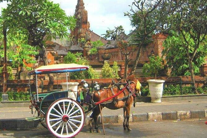 Discover Bali : Shore Excursion from Benoa Port with Free Wi-Fi - Key points to know before booking