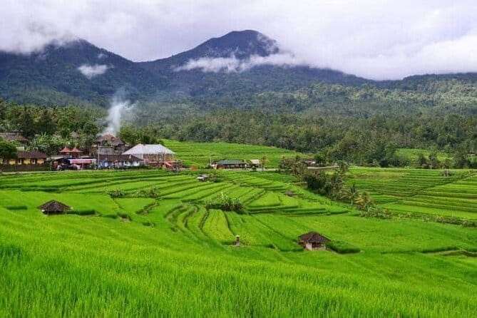 Discover Bali : Shore Excursion from Benoa Port with Free Wi-Fi - What $119 gets you, and what it does not