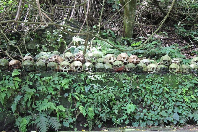 Discover Balinese Mystic & Death Ritual in Bali - Penglipuran Bamboo Forest and an old village system