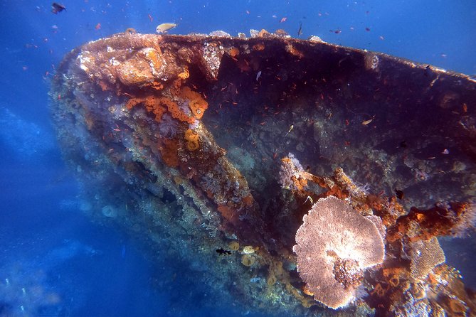 Discover Scuba Diving - A five-hour introduction built for first-timers