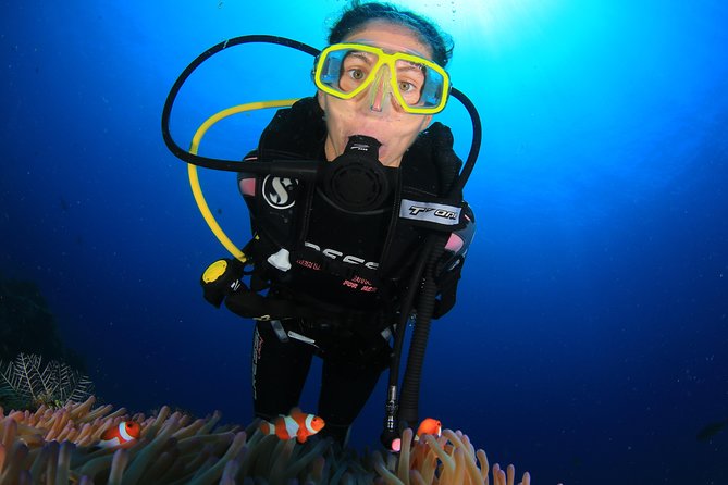 Discover Scuba Diving - The Amed meeting point needs careful checking