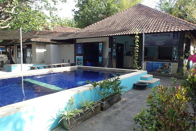 Discover Scuba Diving and dive in Menjangan Island Marine Park 2 dives - What the instructors add to the day