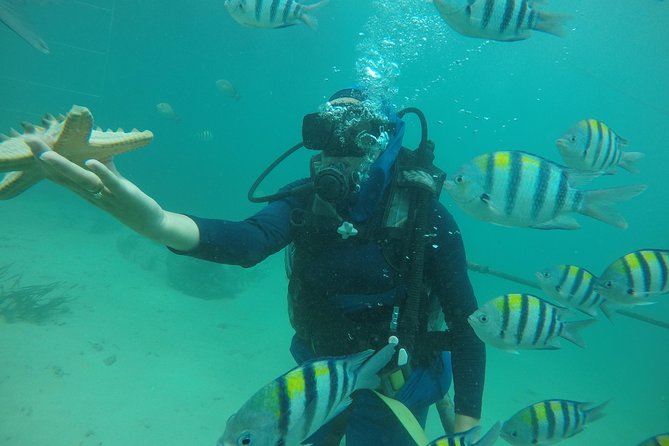 Discover Scuba Diving ( beginners) Combined With Jet Ski - What the $70 price really gives you