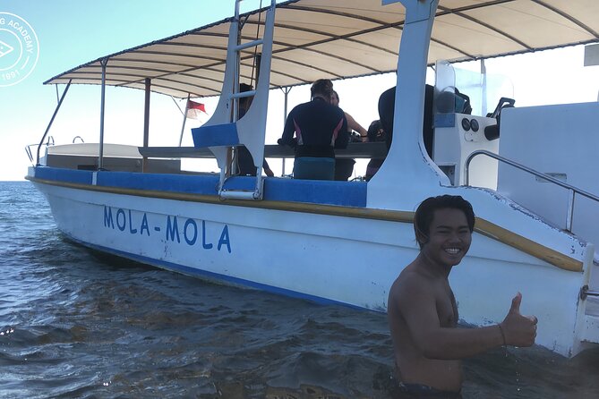 Discover Scuba Diving in Pemuteran at the Biorock site,1 shore dive all included - The Biorock open-water session is the main payoff