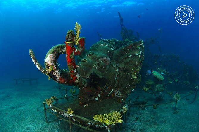 Discover Scuba Diving in Pemuteran at the Biorock site,1 shore dive all included - What the strongest praise tells you