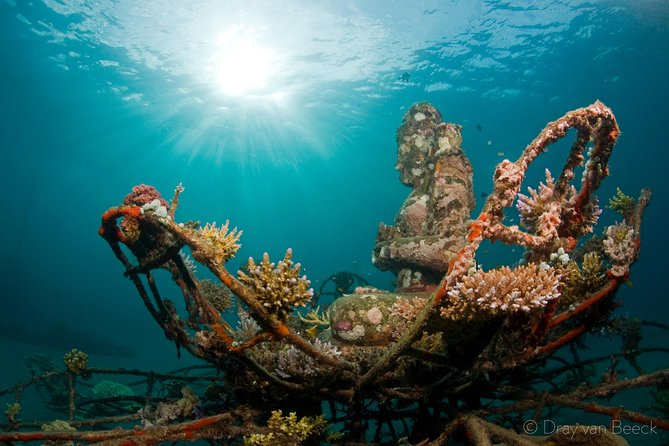 Discover Scuba Diving in Pemuteran at the Biorock site,1 shore dive all included - The morning begins with theory and a safety check