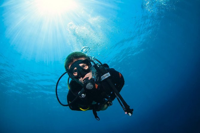 Discover Scuba Diving in Pemuteran - Diving Initiation in Bali (Menjangan Park) - Who should book this initiation