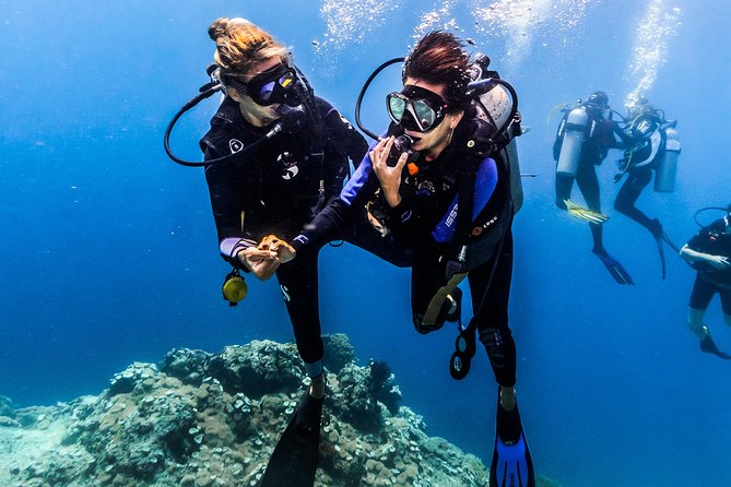 Discover Scuba Diving in Pemuteran - Diving Initiation in Bali (Menjangan Park) - Shallow-water practice before Menjangan