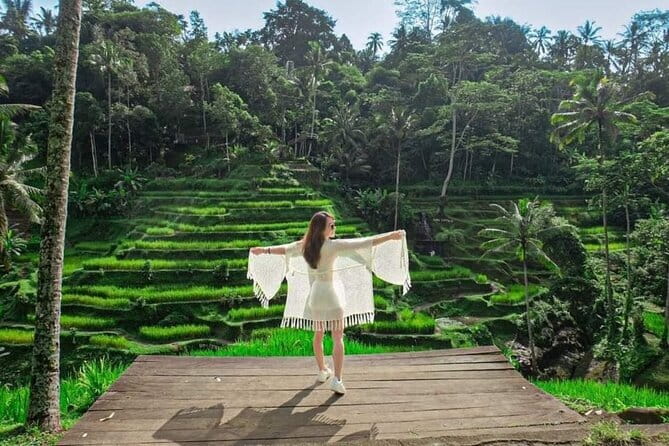 Discover The Best North of Bali with Private Guide Tour - The guide can make or break this day