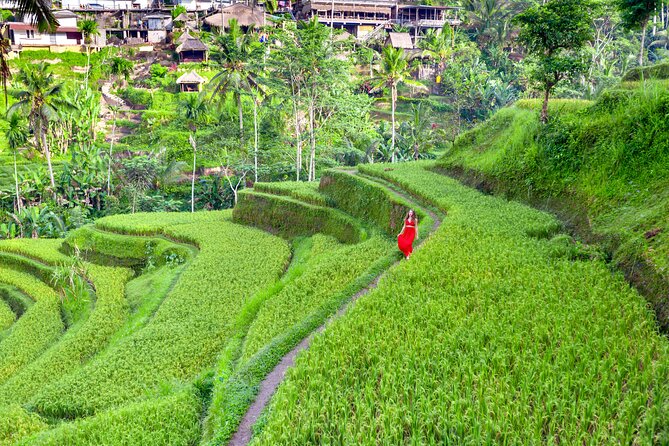 Discover The Best of Ubud: All-Inclusive and Private Guided Tour - Why this private Ubud day works