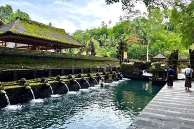 Discover The Best of Ubud: All-Inclusive and Private Guided Tour